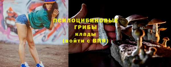 не бодяженный Абаза