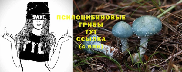 каннабис Абинск